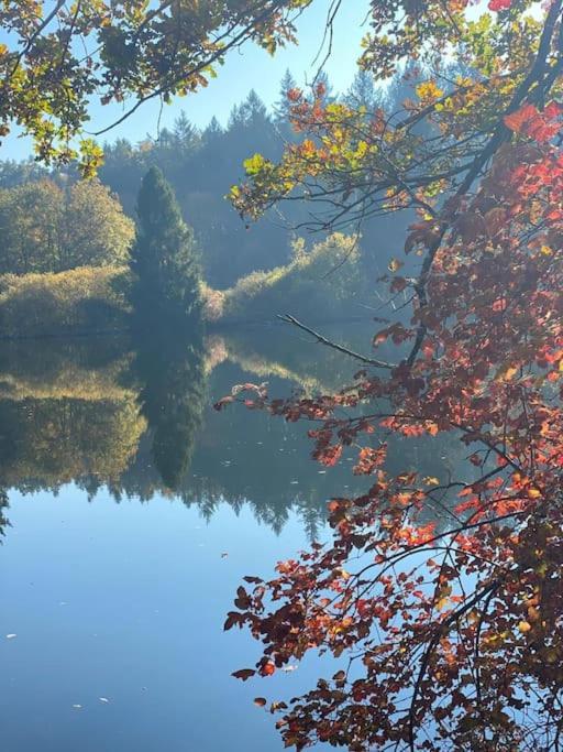 רדולפצל אם בודנזי Charismatisch Und Gemuetlich In Guettingen, Nah Zum Buchensee Und Bodensee, Tolle Lage מראה חיצוני תמונה