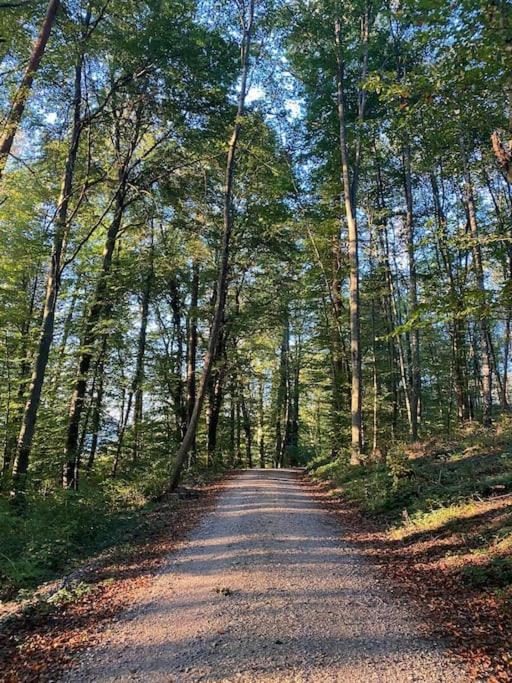 רדולפצל אם בודנזי Charismatisch Und Gemuetlich In Guettingen, Nah Zum Buchensee Und Bodensee, Tolle Lage מראה חיצוני תמונה